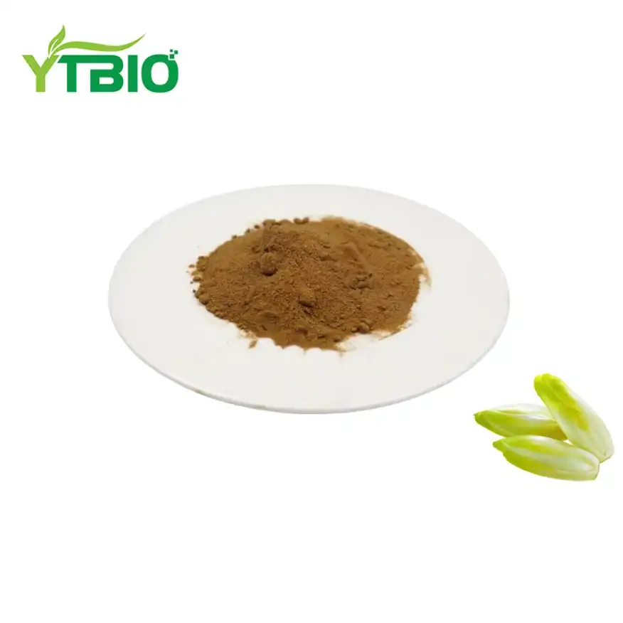 Chicory Extract Powder